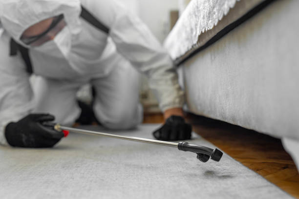 Professional Ant Control technician working in Laguna Vista, TX